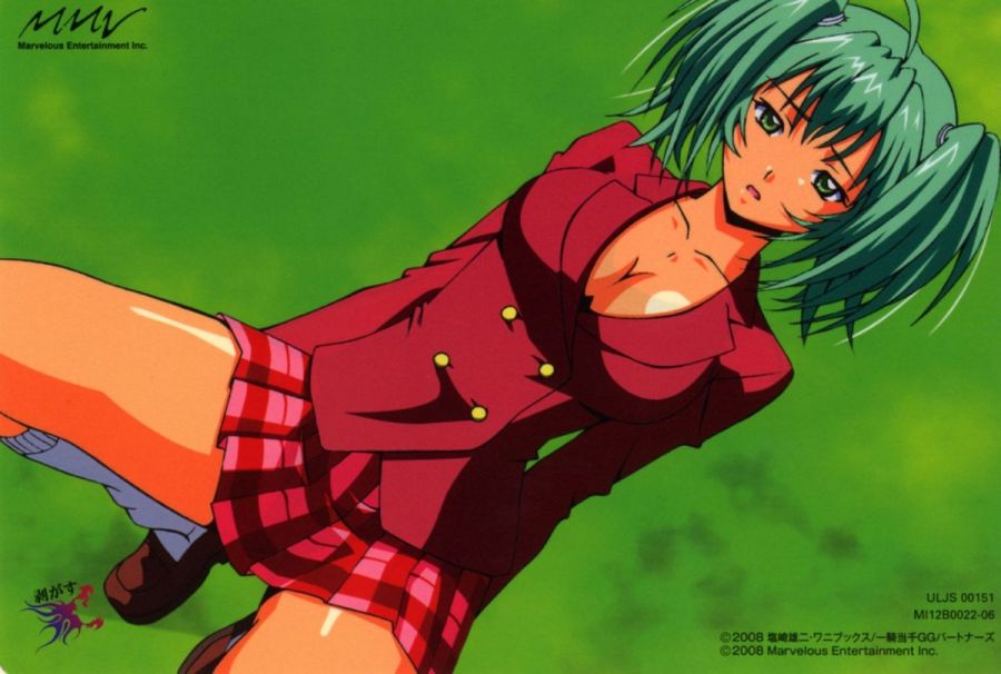 Ikki_tousen_20110828_205.jpg